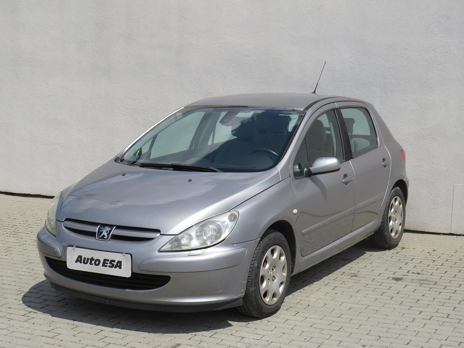 Peugeot 307 1.6i 