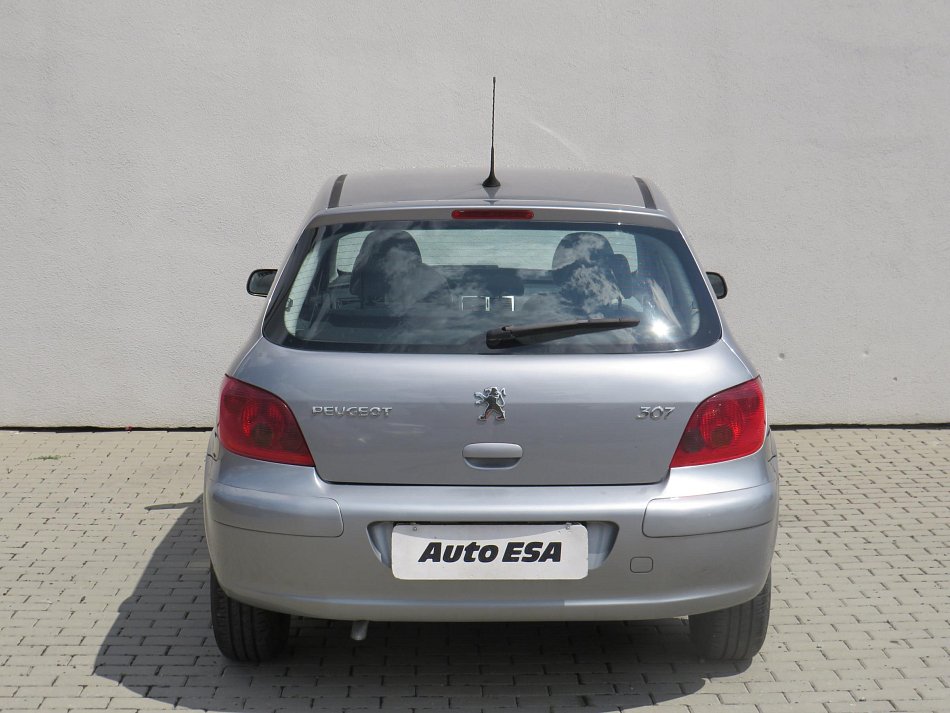 Peugeot 307 1.6i 
