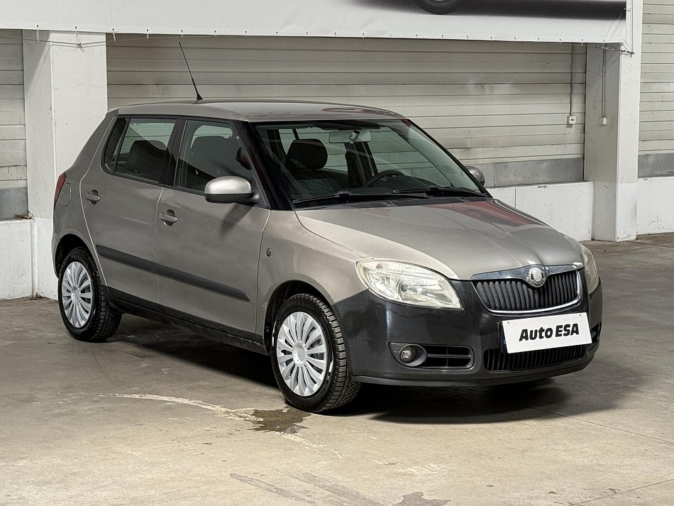 Škoda Fabia II 1.2 12V 