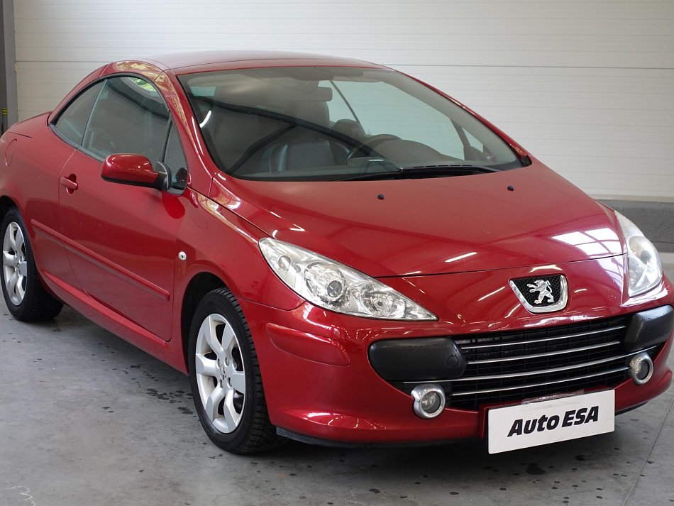 Peugeot 307 1.6i 