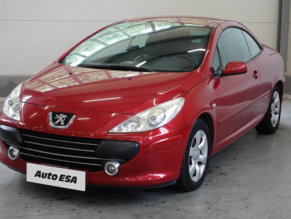 Peugeot 307 1.6i 